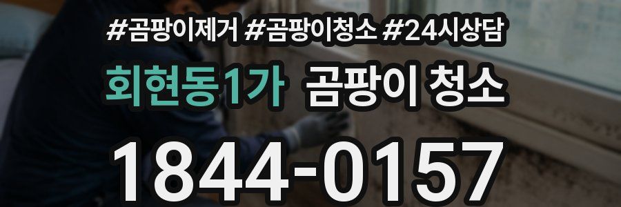 회현동1가 곰팡이 청소