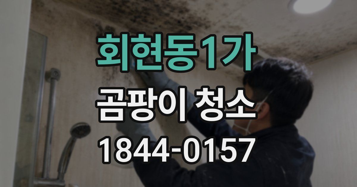회현동1가 곰팡이 청소