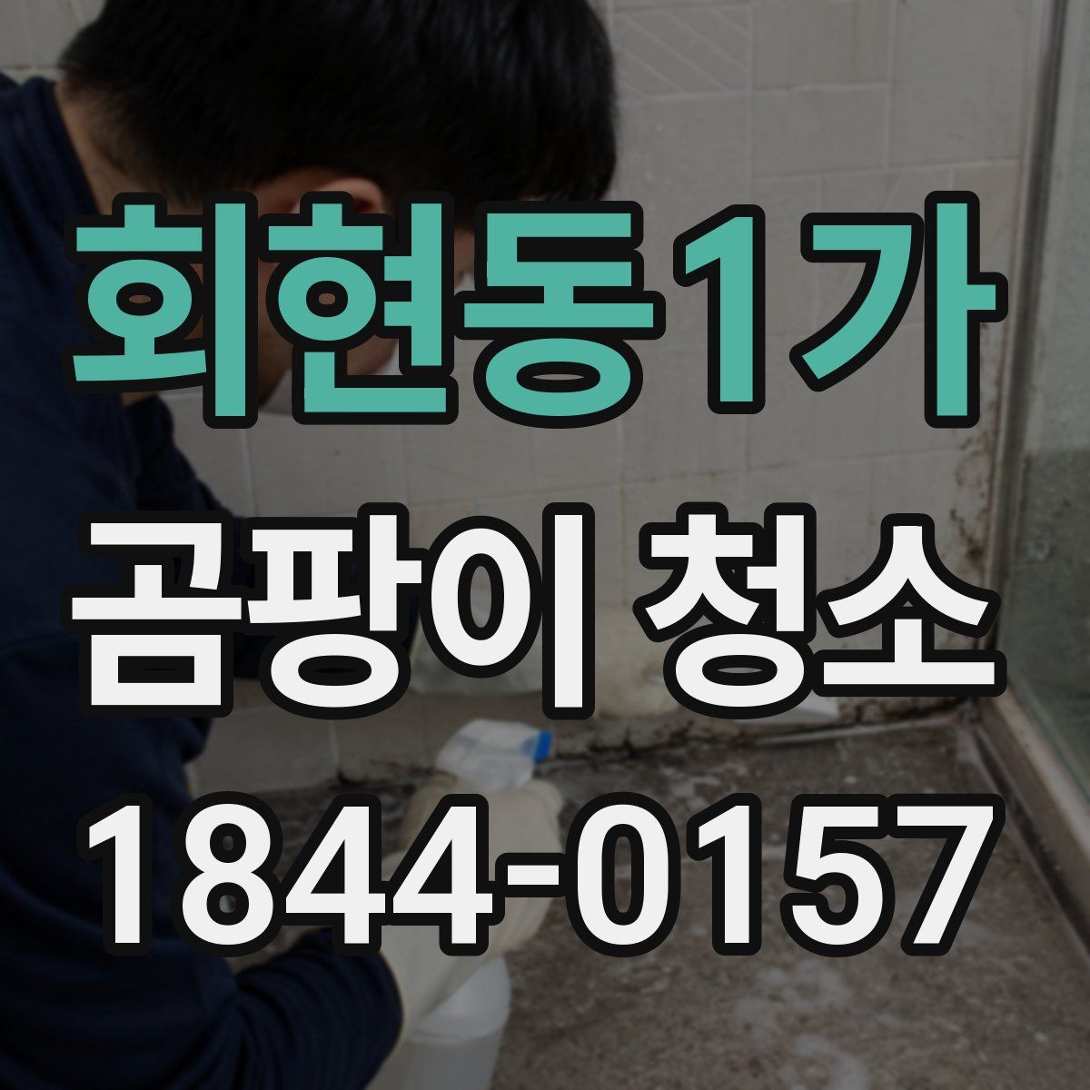 회현동1가 곰팡이 청소