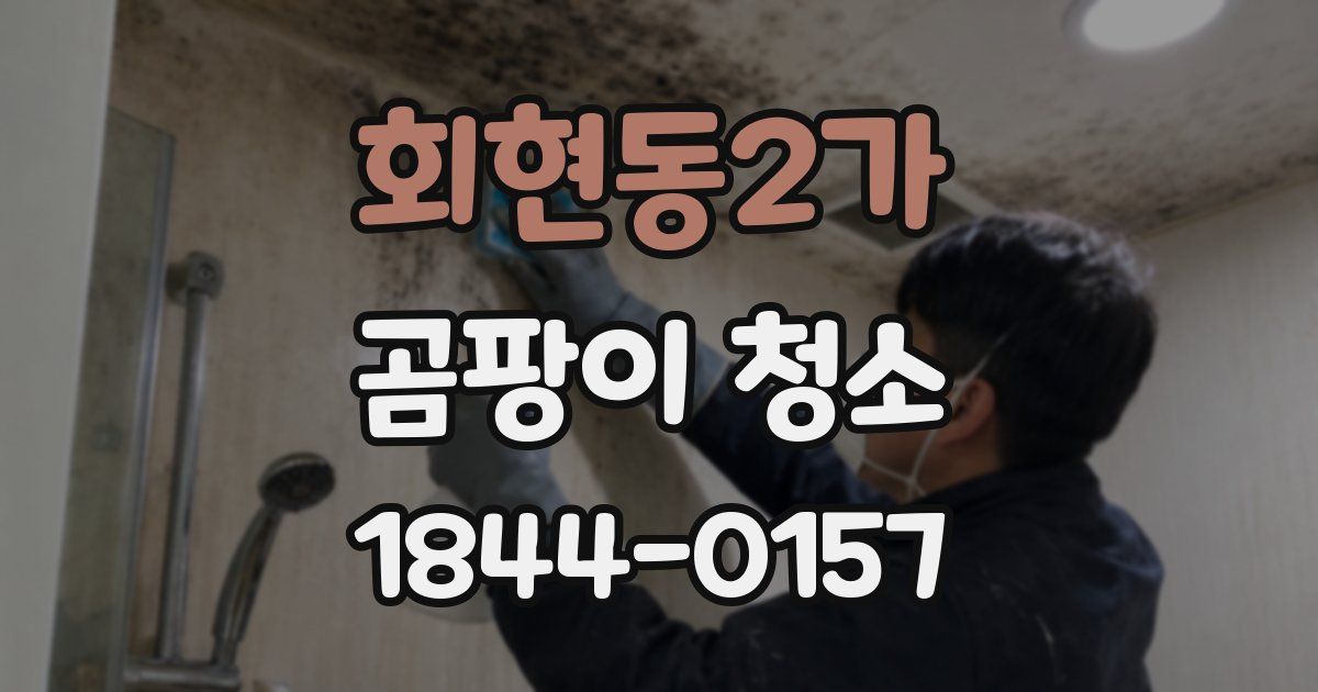 회현동2가 곰팡이 청소