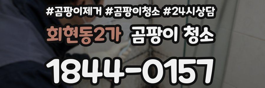 회현동2가 곰팡이 청소
