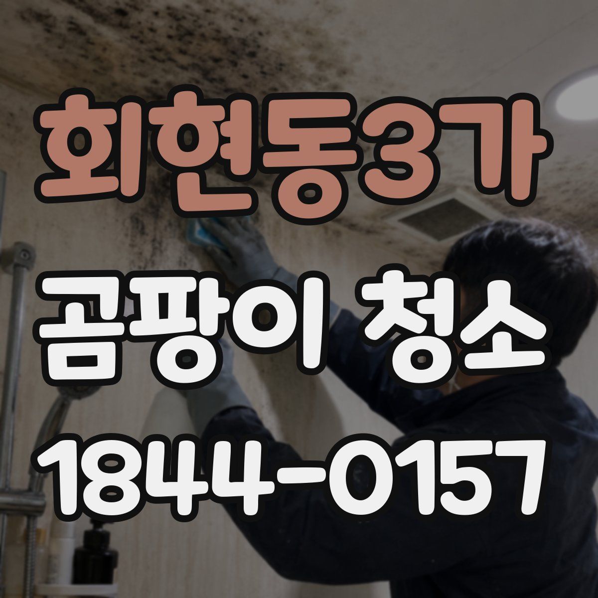 회현동3가 곰팡이 청소