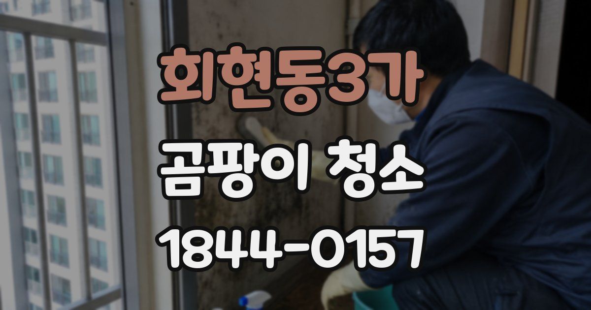 회현동3가 곰팡이 청소