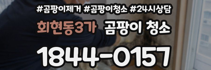 회현동3가 곰팡이 청소