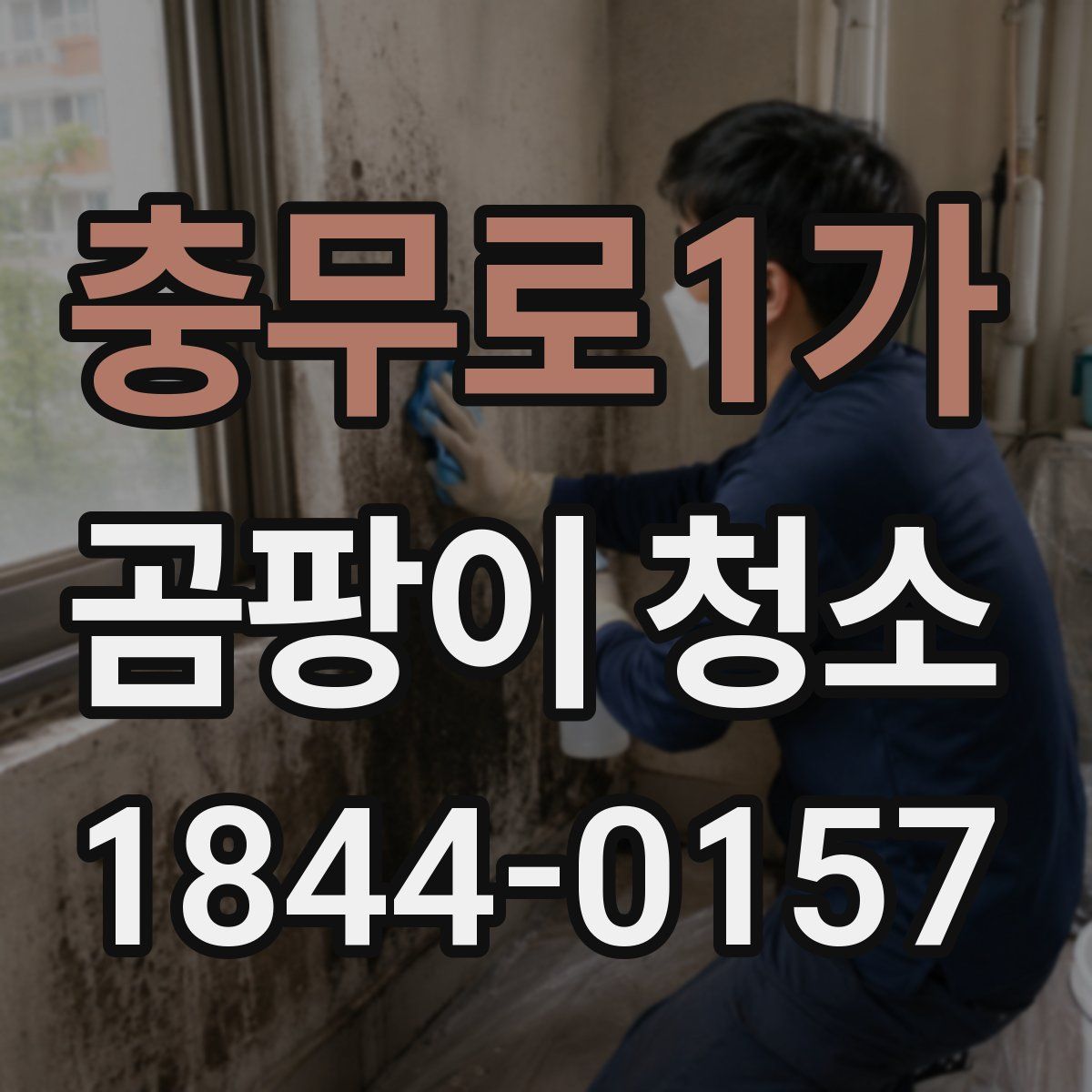 충무로1가 곰팡이 청소