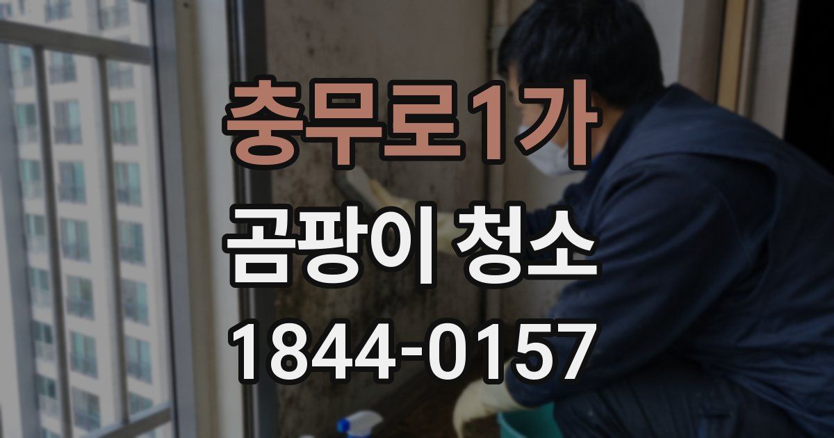 충무로1가 곰팡이 청소
