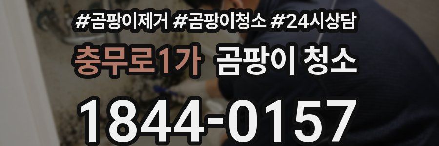 충무로1가 곰팡이 청소