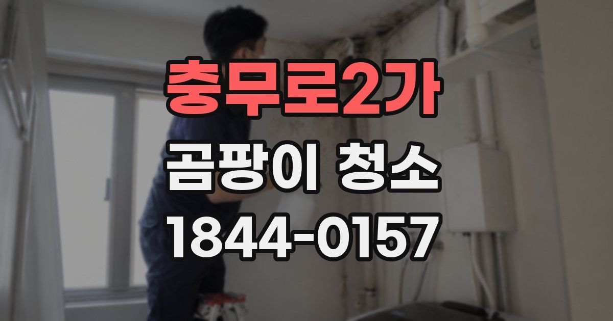충무로2가 곰팡이 청소