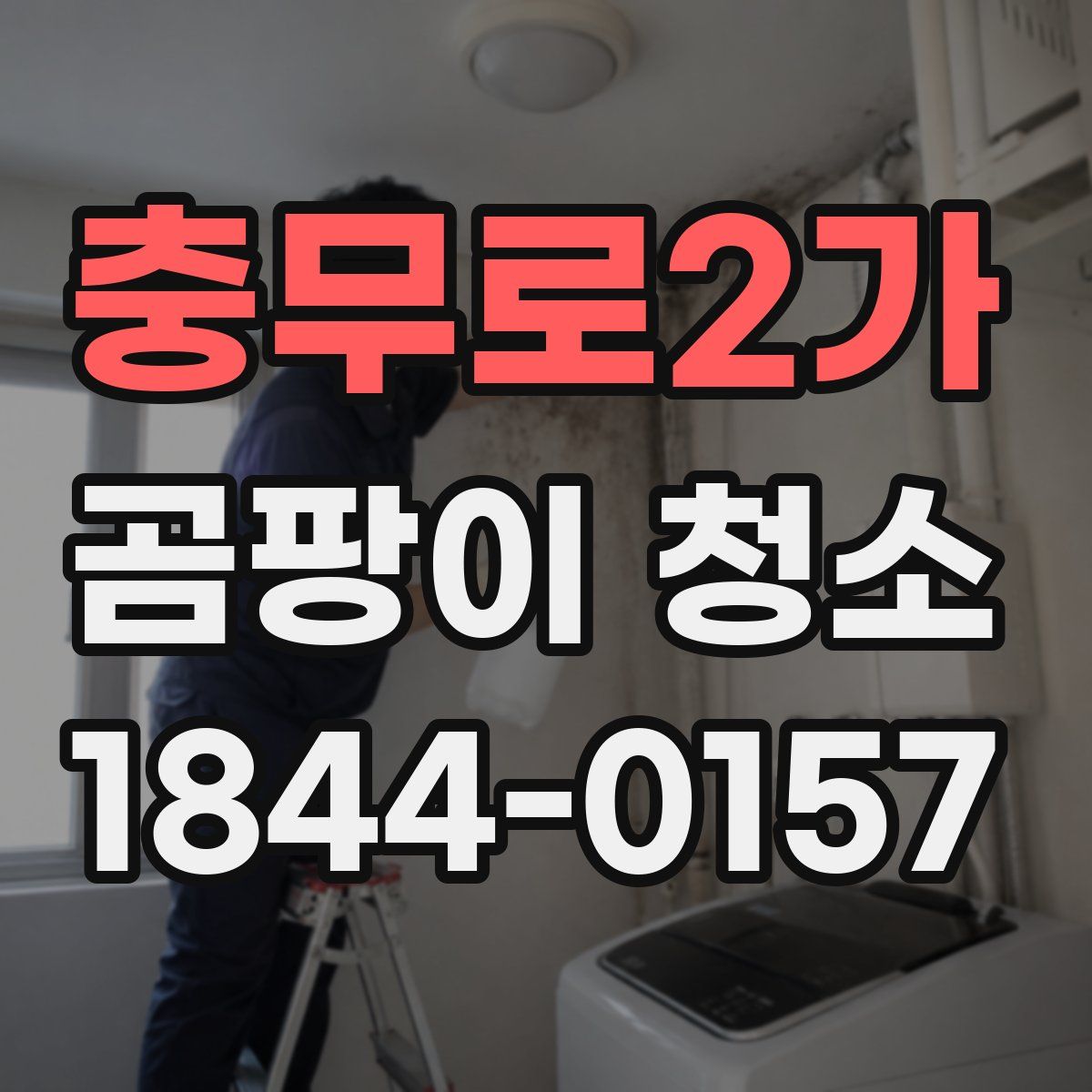 충무로2가 곰팡이 청소