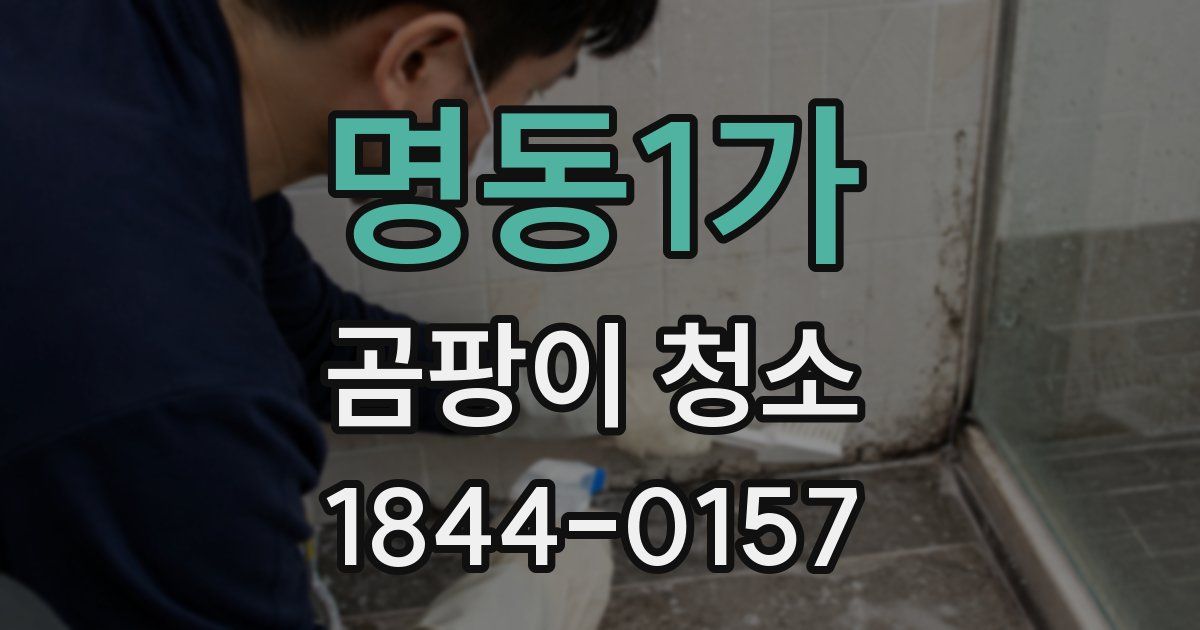 명동1가 곰팡이 청소