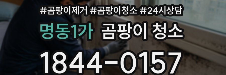 명동1가 곰팡이 청소