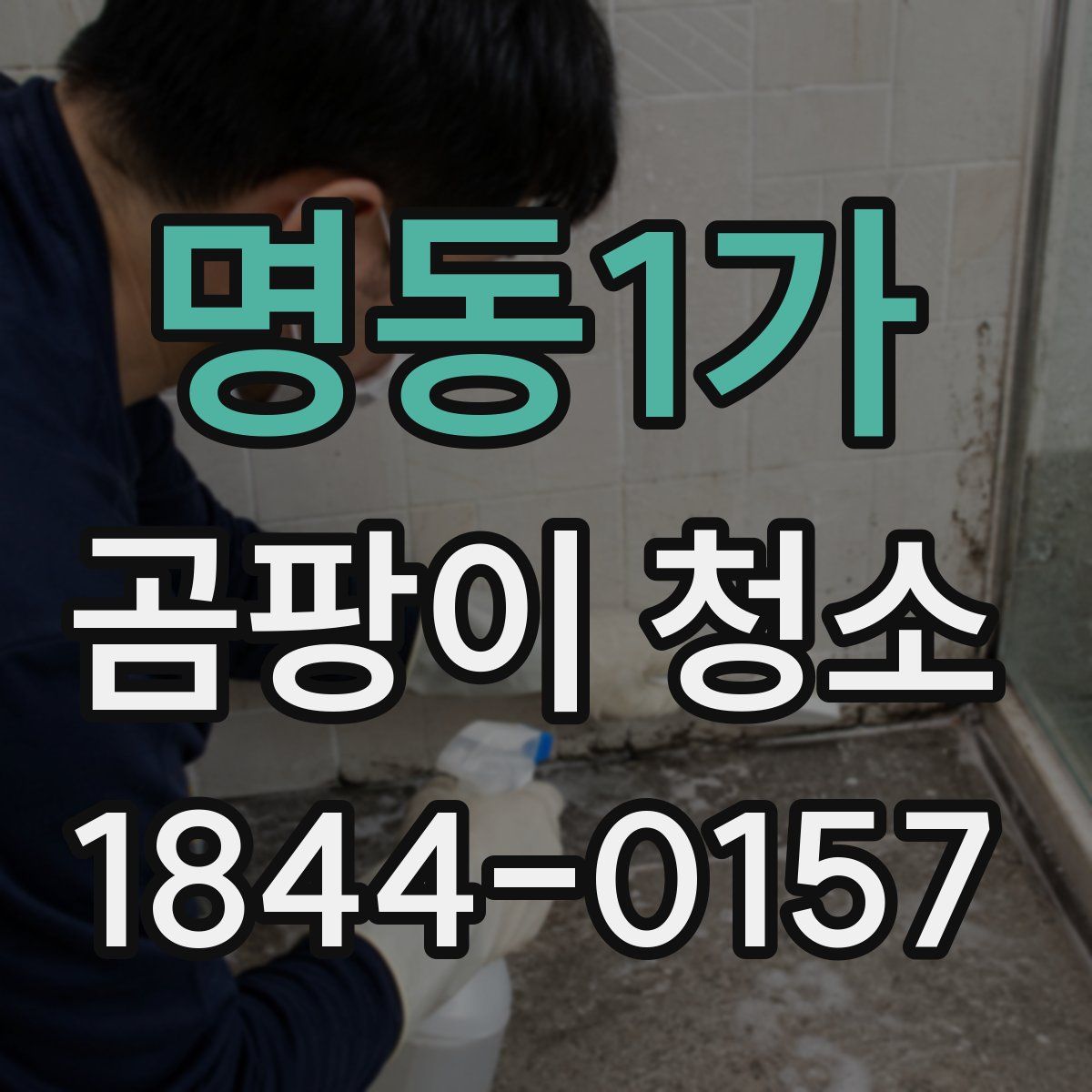 명동1가 곰팡이 청소