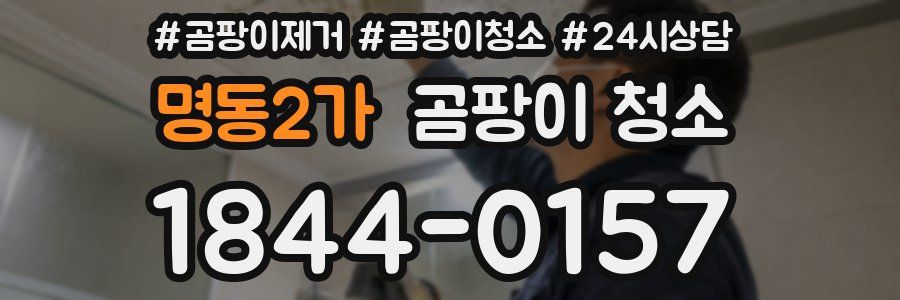 명동2가 곰팡이 청소