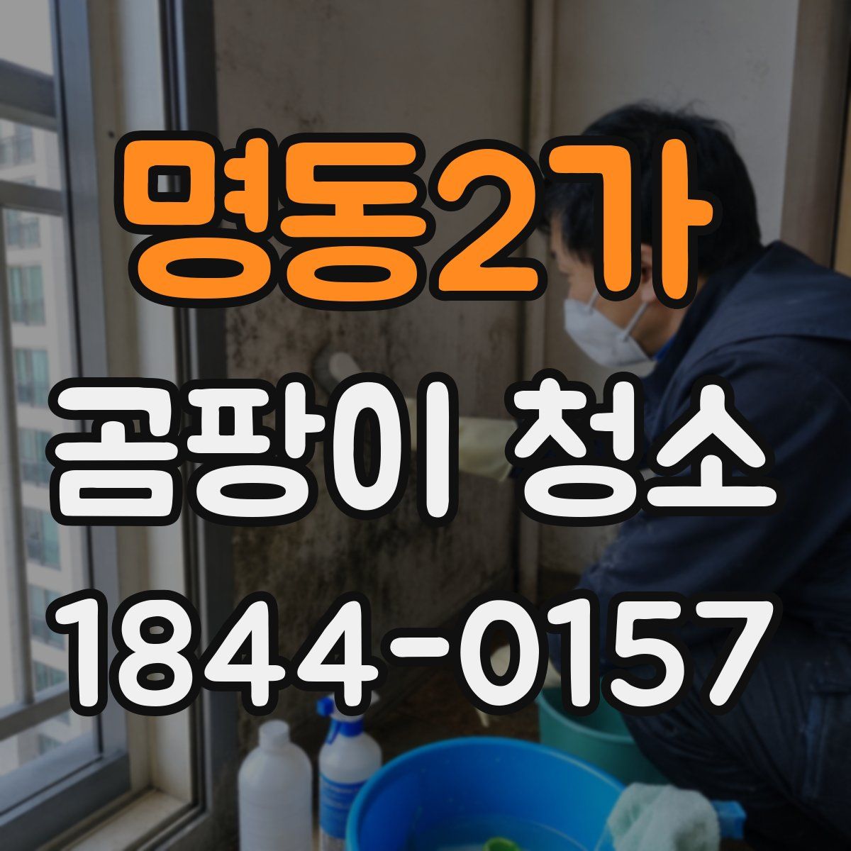 명동2가 곰팡이 청소