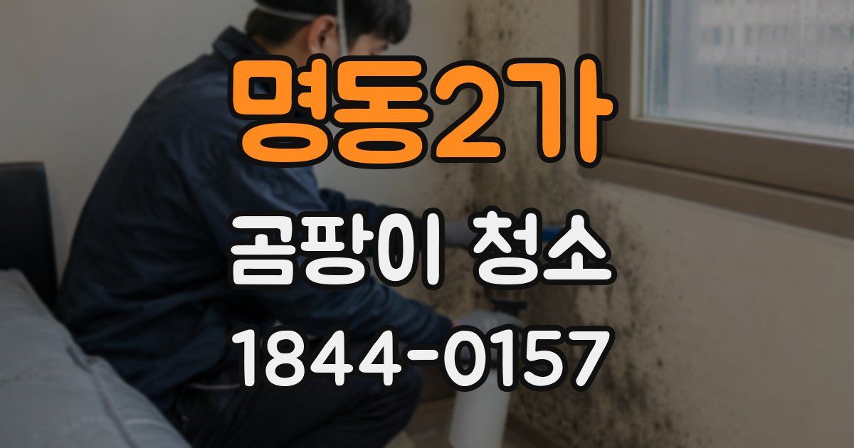 명동2가 곰팡이 청소