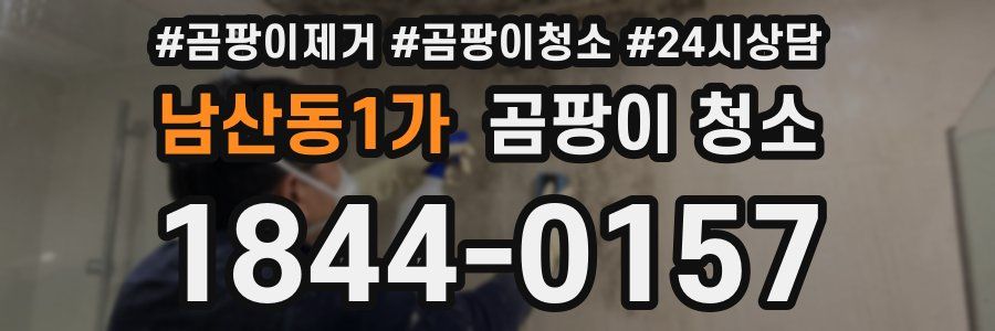 남산동1가 곰팡이 청소