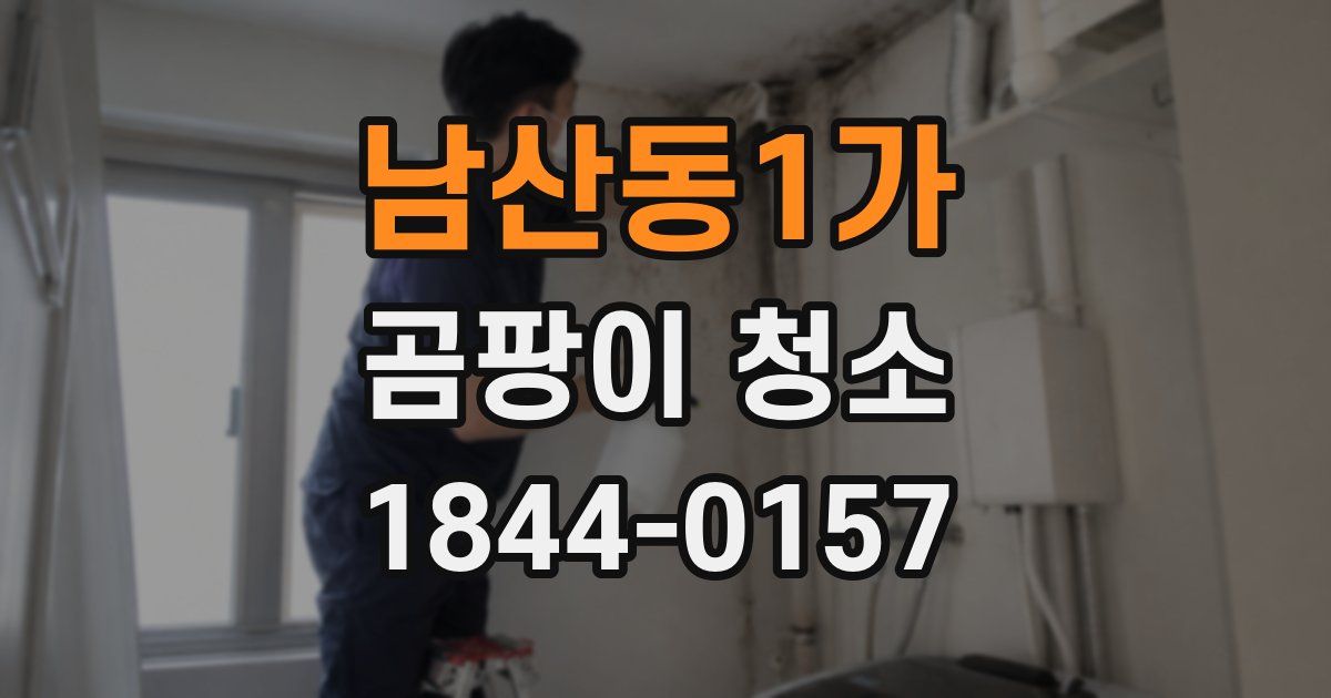 남산동1가 곰팡이 청소