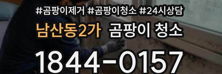 남산동2가 곰팡이 청소