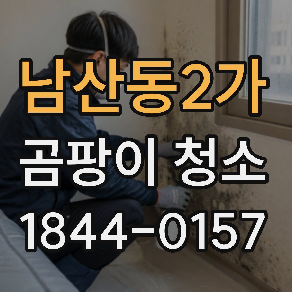 남산동2가 곰팡이 청소