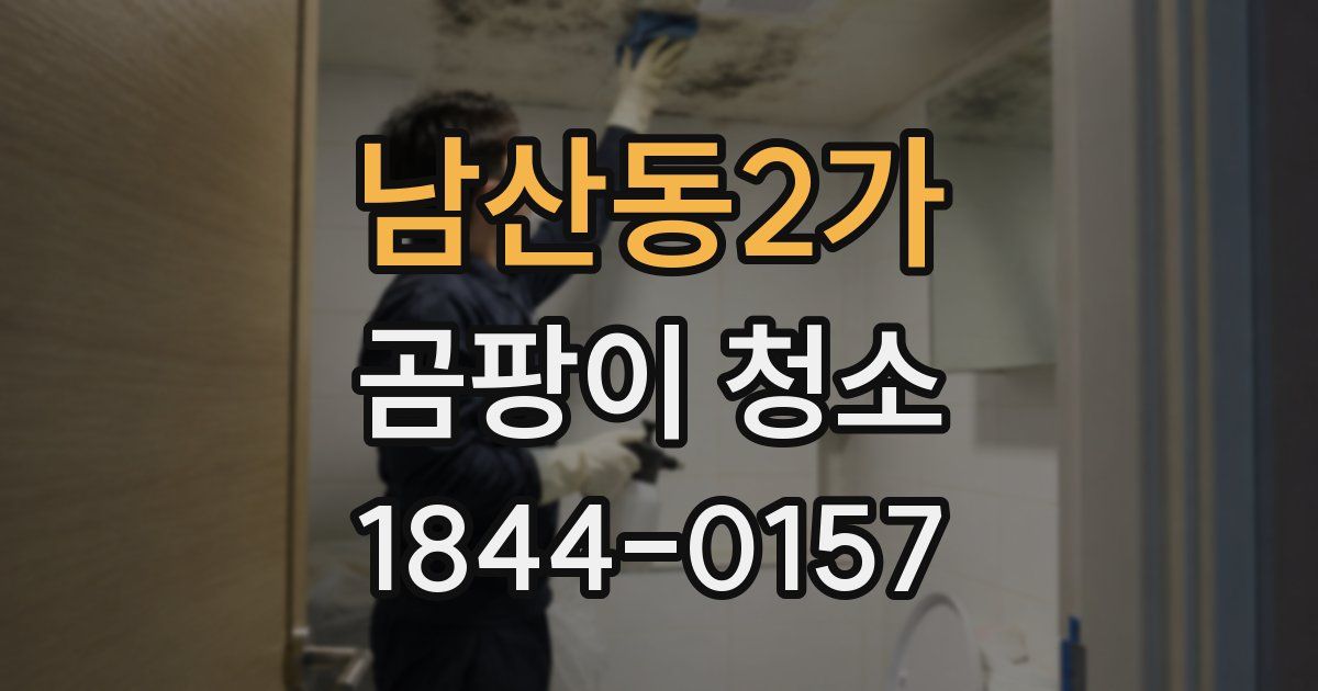 남산동2가 곰팡이 청소