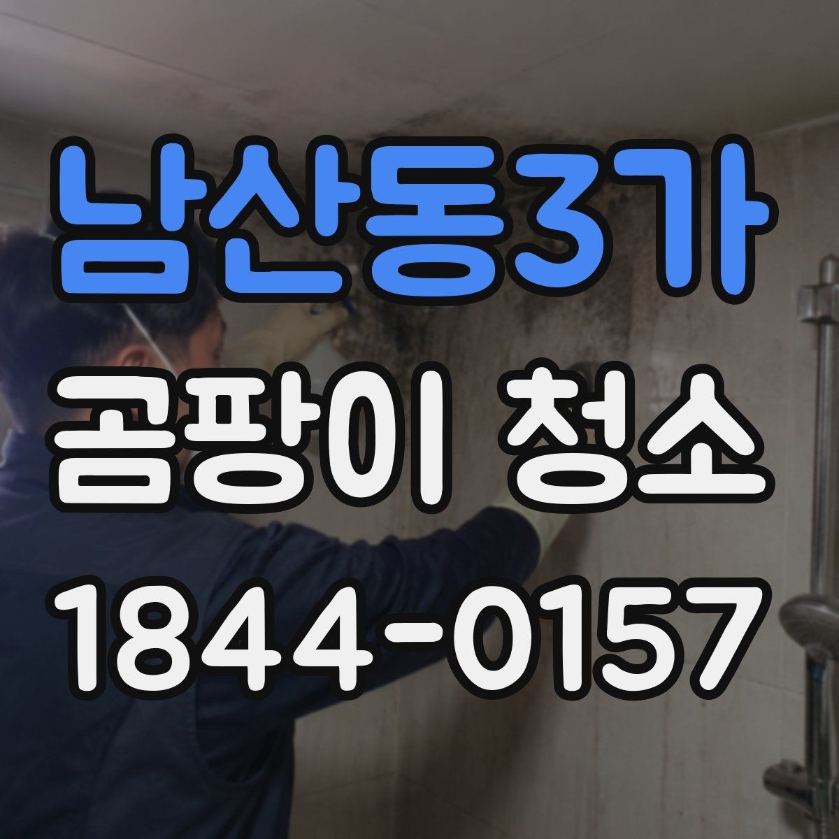 남산동3가 곰팡이 청소 자국이 남기 쉬운 표면별 특징 비교