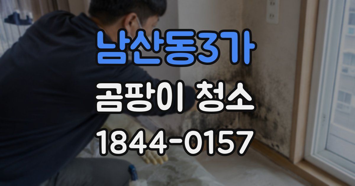 남산동3가 곰팡이 청소