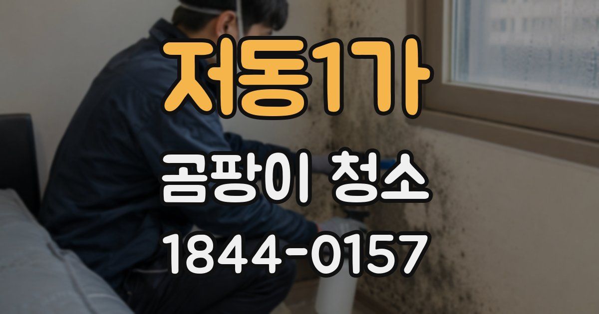 저동1가 곰팡이 청소