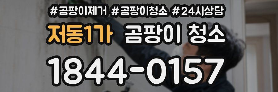 저동1가 곰팡이 청소