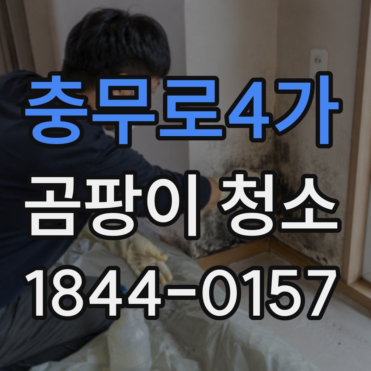 충무로4가 곰팡이 청소