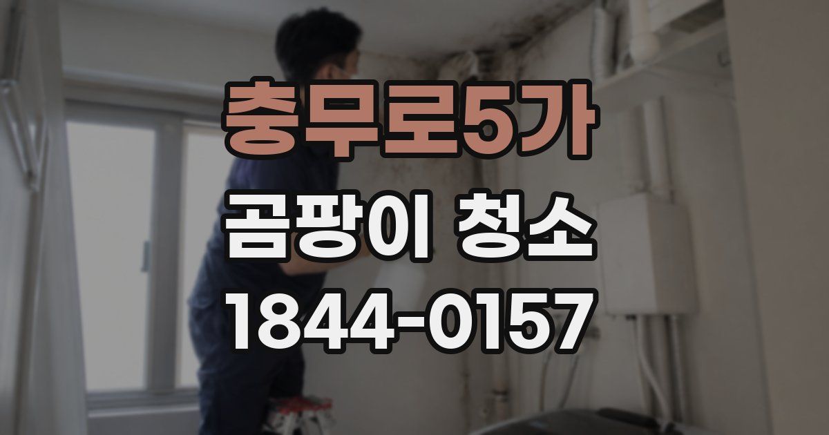 충무로5가 곰팡이 청소