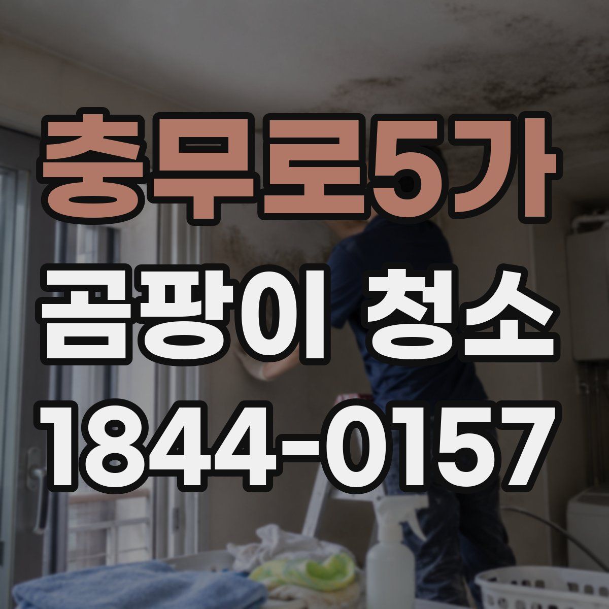 충무로5가 곰팡이 청소