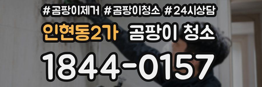 인현동2가 곰팡이 청소