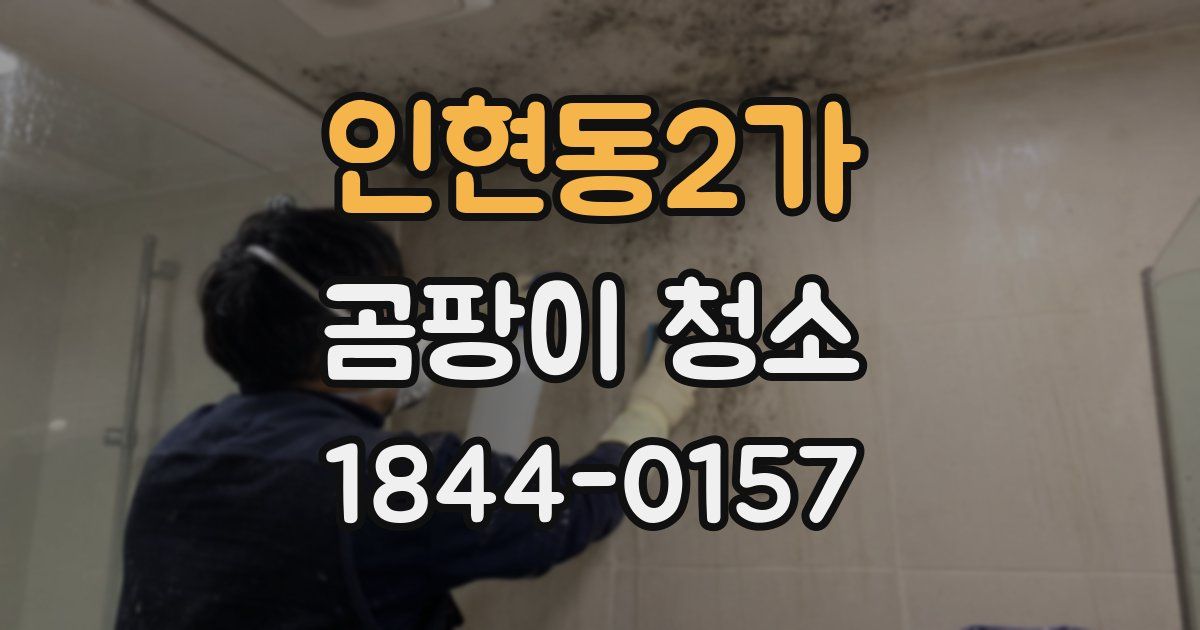 인현동2가 곰팡이 청소