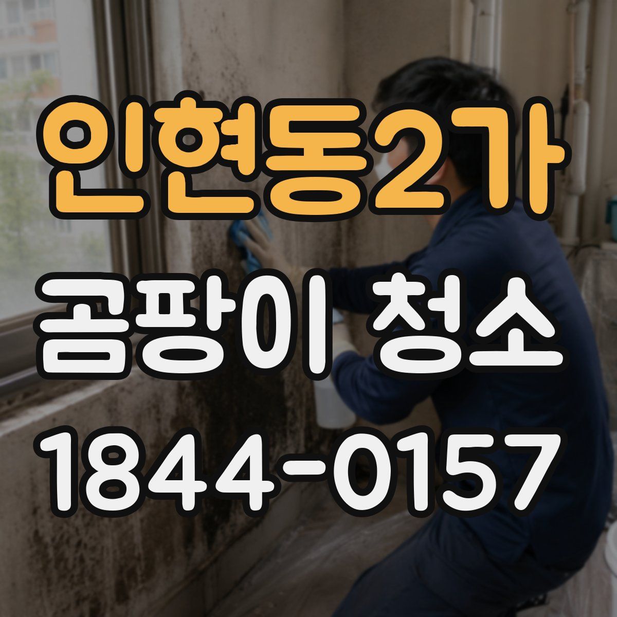 인현동2가 곰팡이 청소