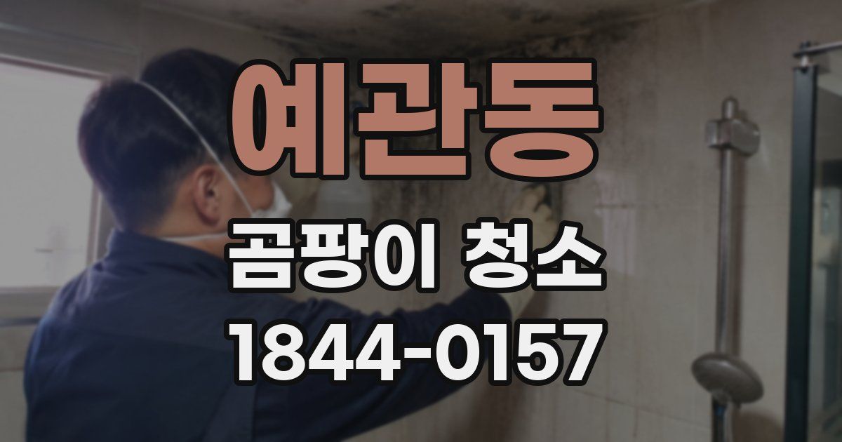 예관동 곰팡이 청소