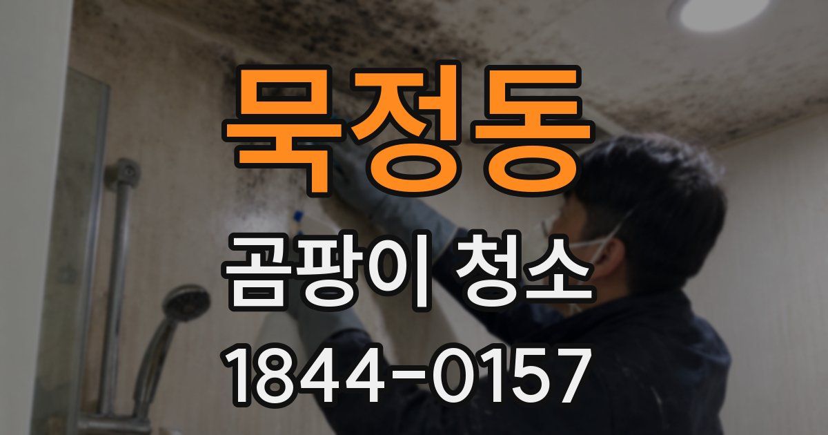 묵정동 곰팡이 청소