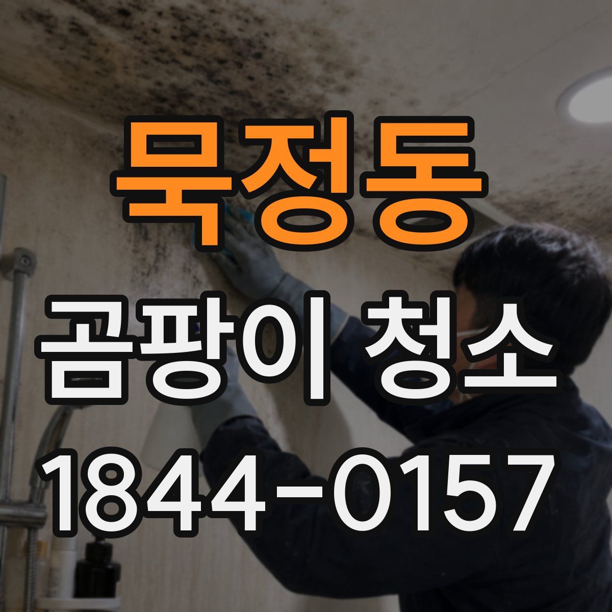 묵정동 곰팡이 청소