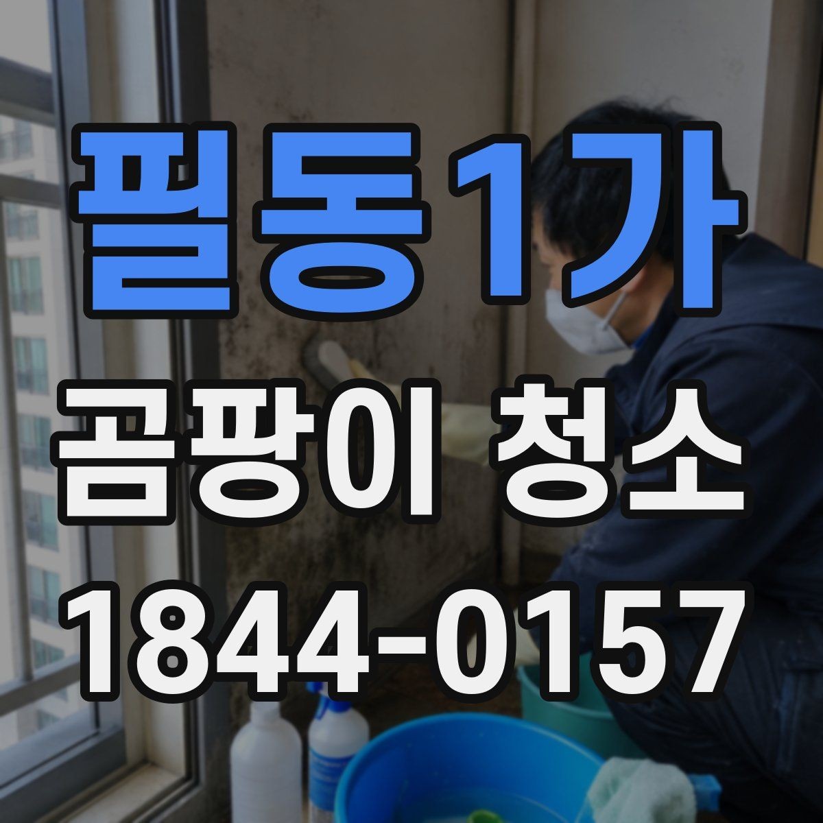필동1가 곰팡이 청소 약품 사용 전 벽지와 실리콘 상태를 보는 법