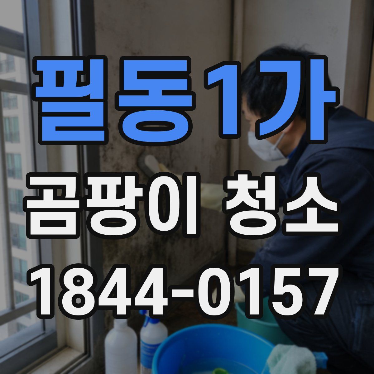 필동1가 곰팡이 청소