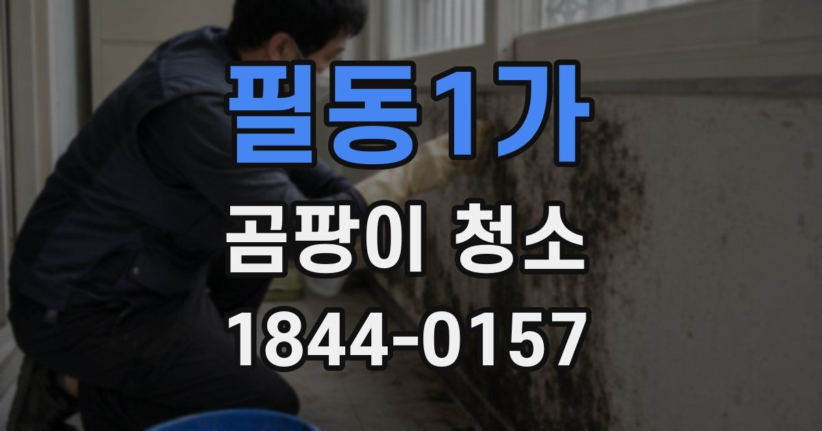 필동1가 곰팡이 청소