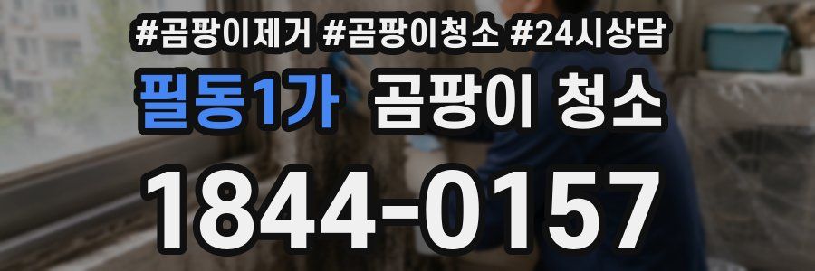 필동1가 곰팡이 청소