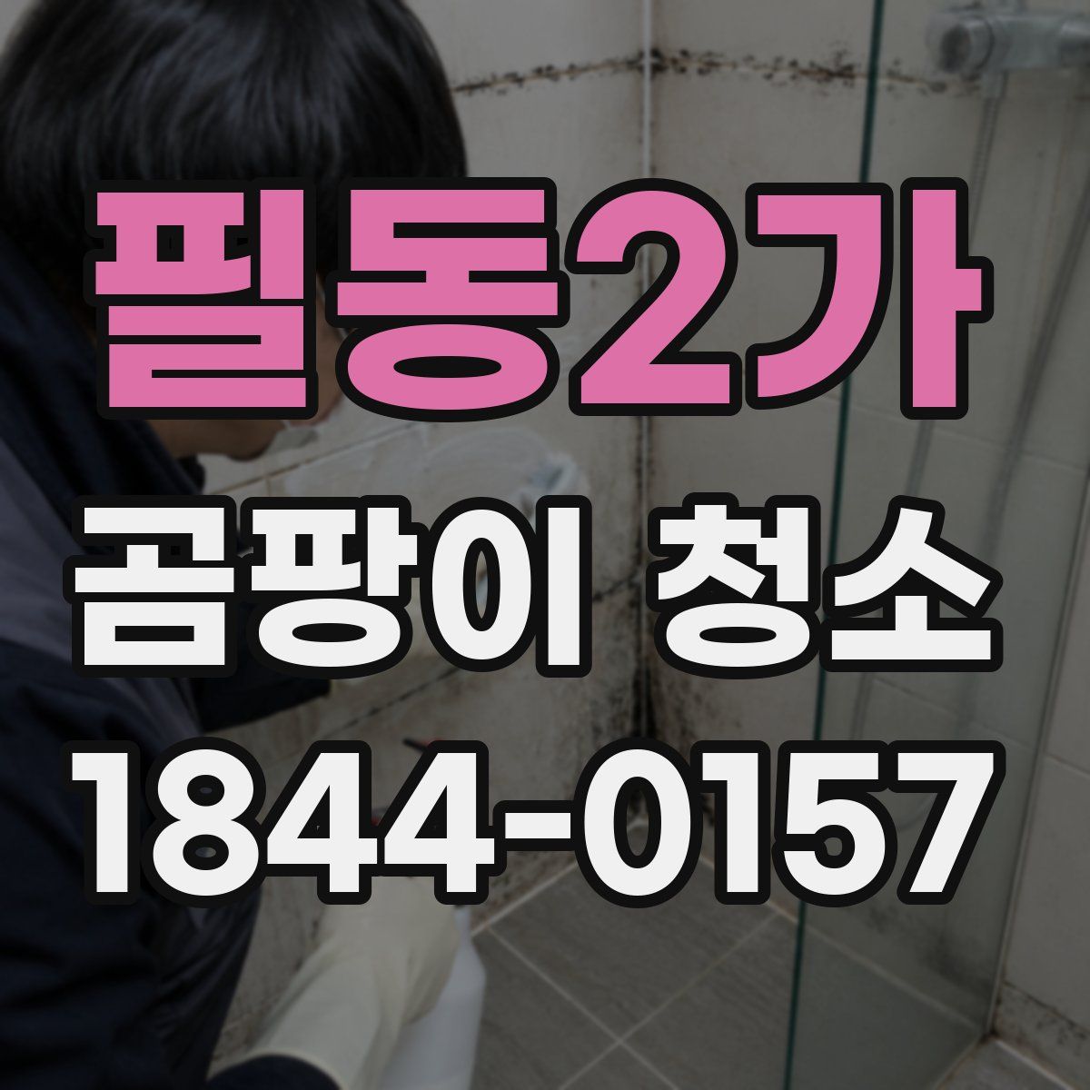 필동2가 곰팡이 청소