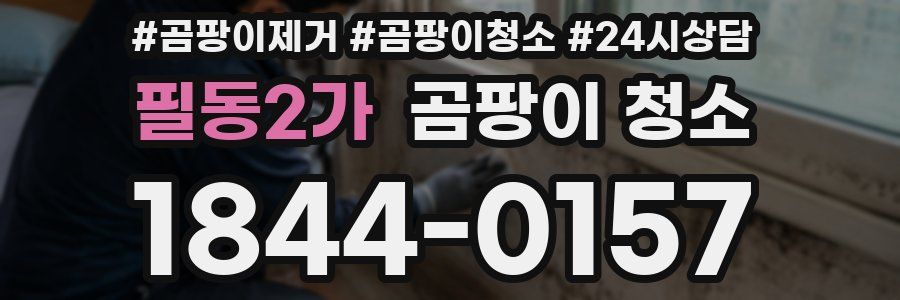 필동2가 곰팡이 청소