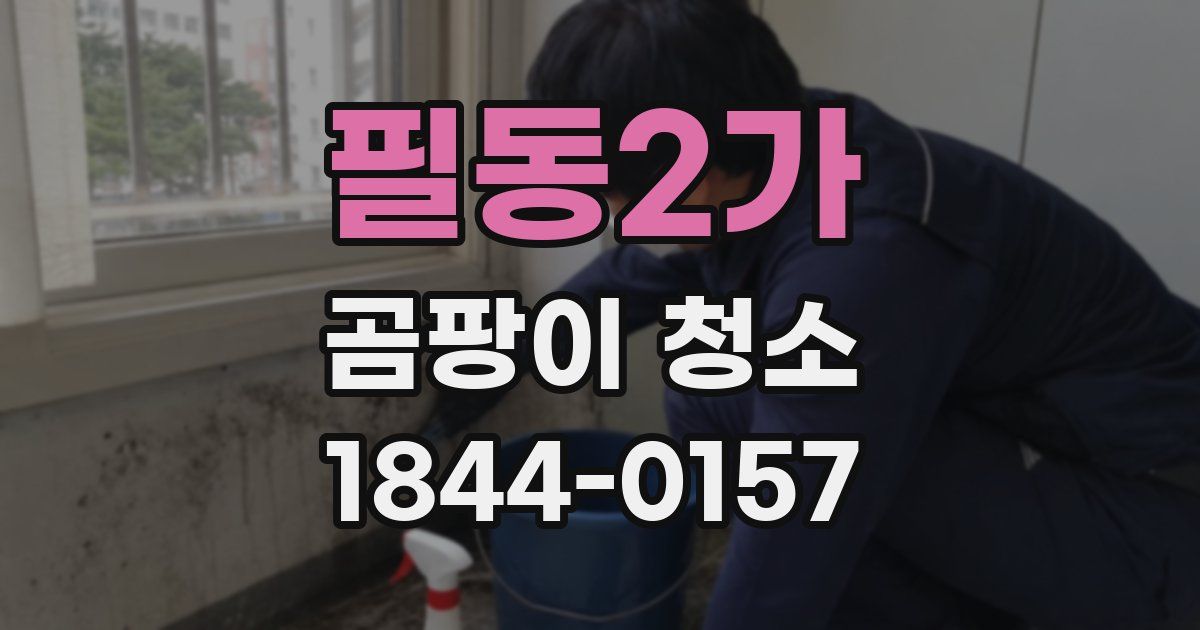 필동2가 곰팡이 청소
