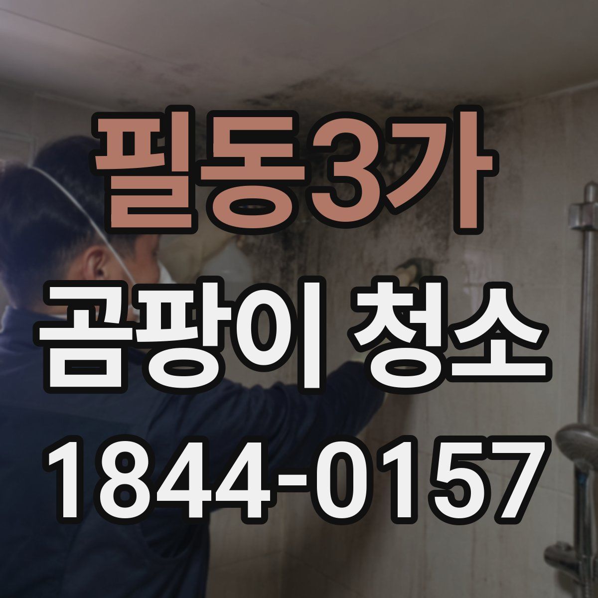 필동3가 곰팡이 청소