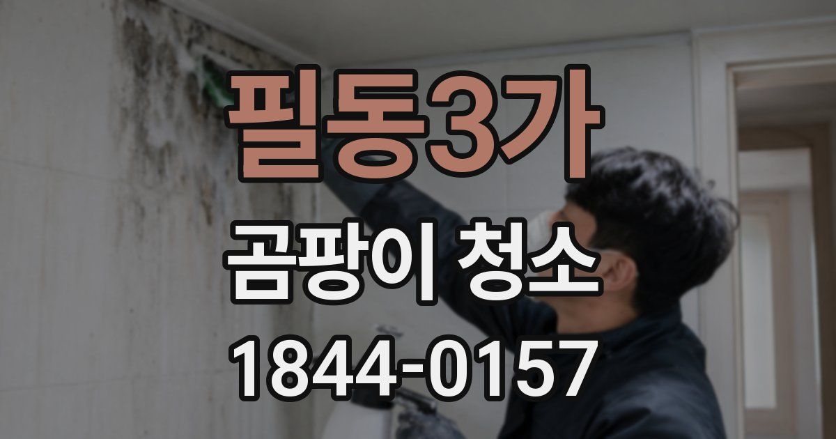 필동3가 곰팡이 청소