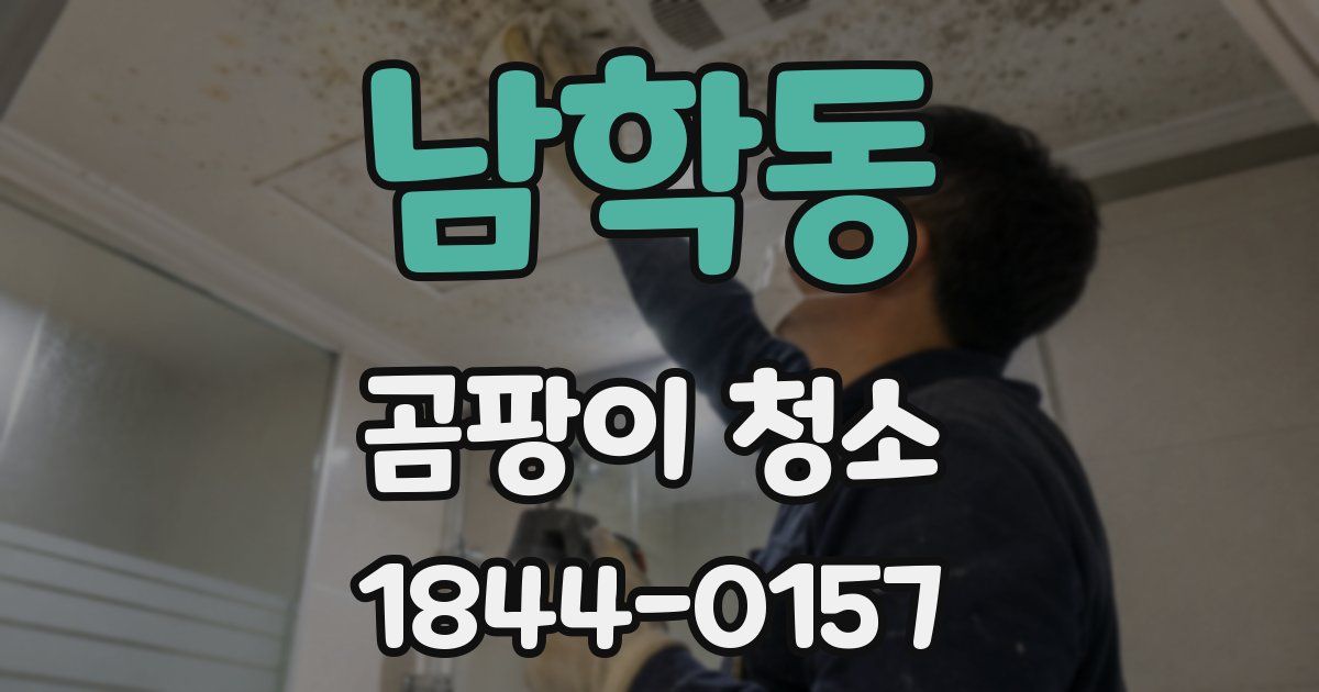 남학동 곰팡이 청소