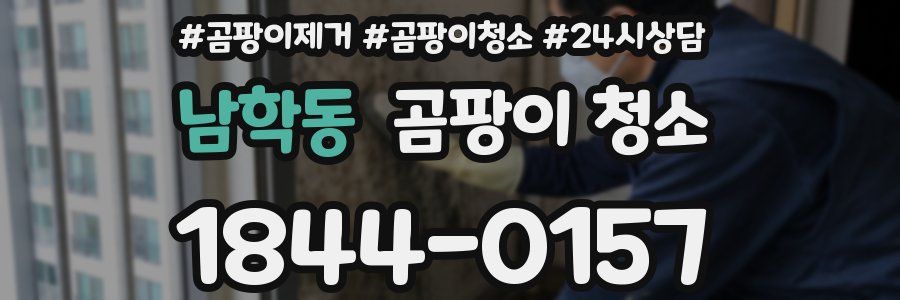 남학동 곰팡이 청소