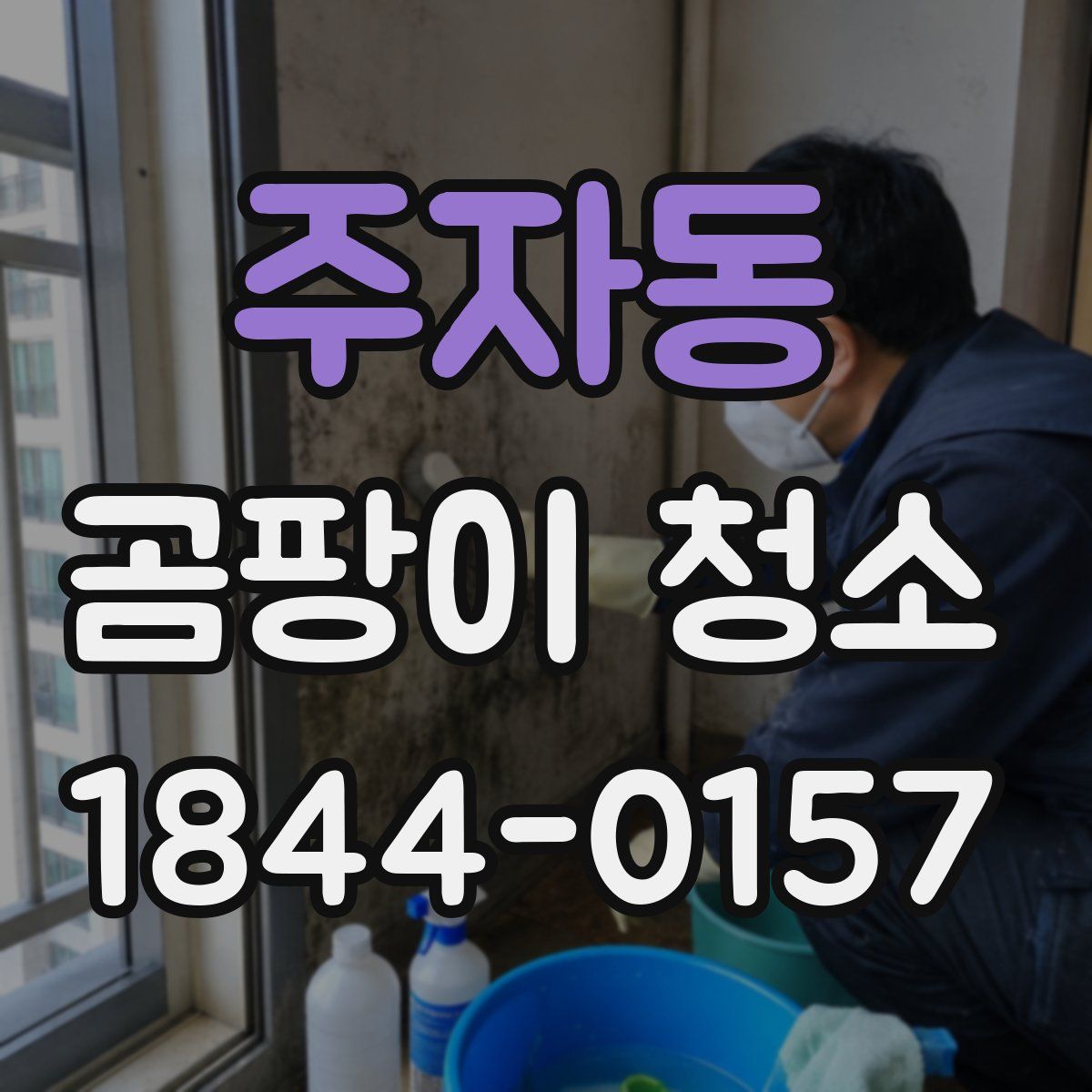 주자동 곰팡이 청소