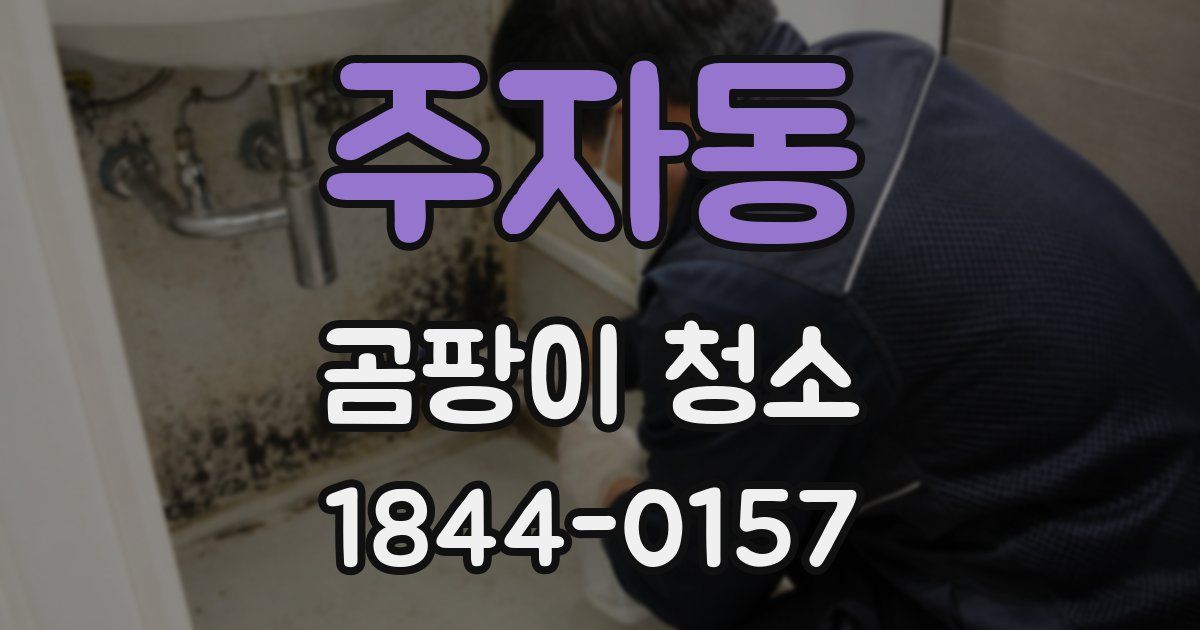 주자동 곰팡이 청소